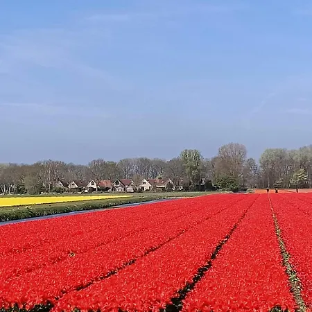 Alk 8-2 By Interhome Tatil parkı 4*