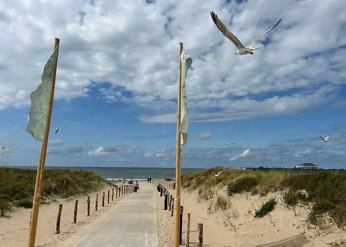 Alk 8-2 By Interhome