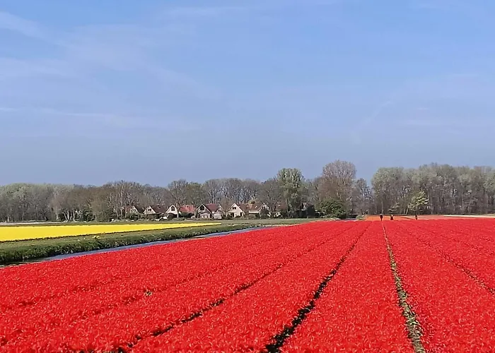 Alk 8-2 By Interhome Parco vacanze 4*